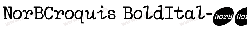 NorBCroquis BoldItal字体转换